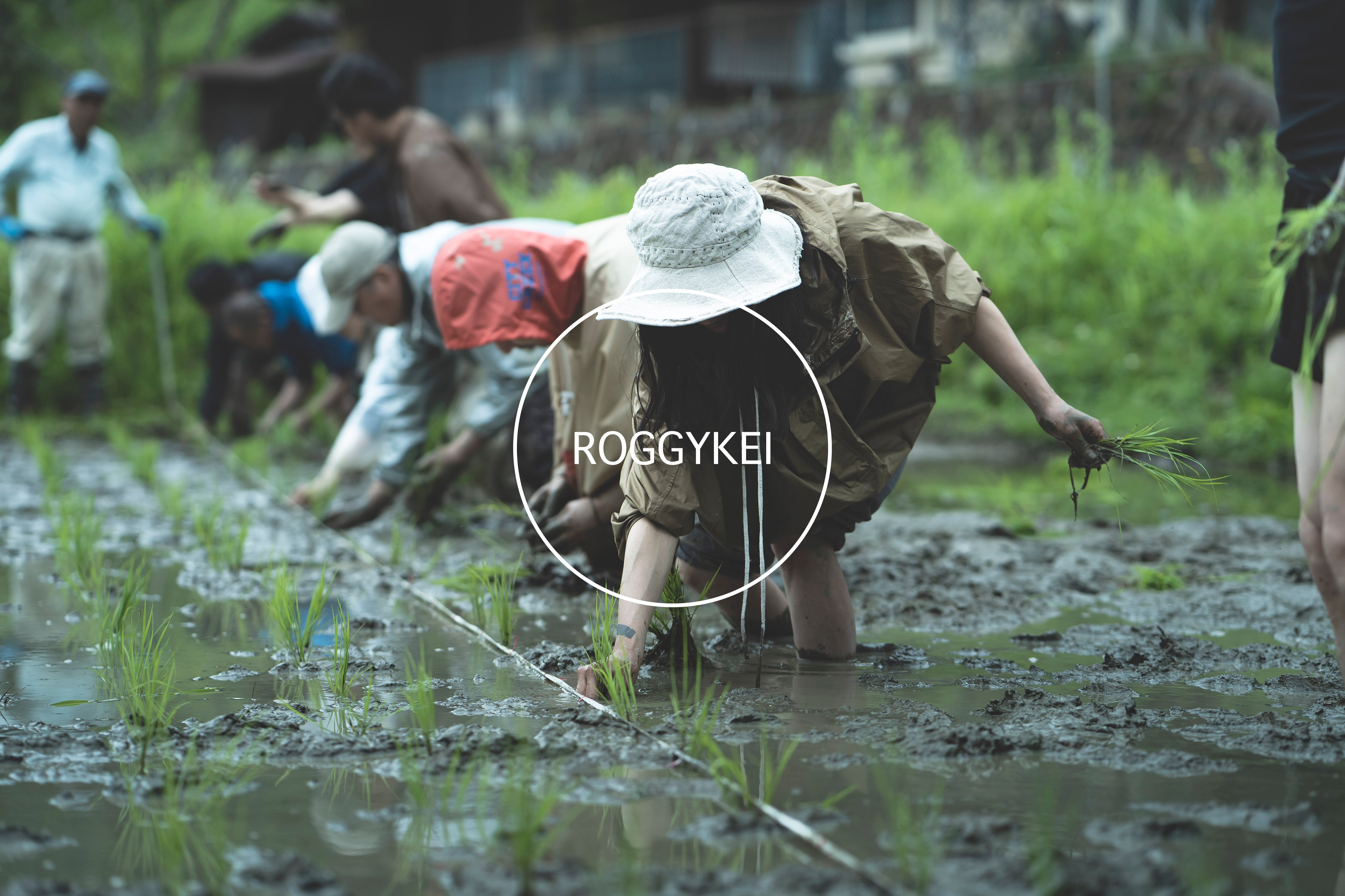ROGGYKEI - online shop